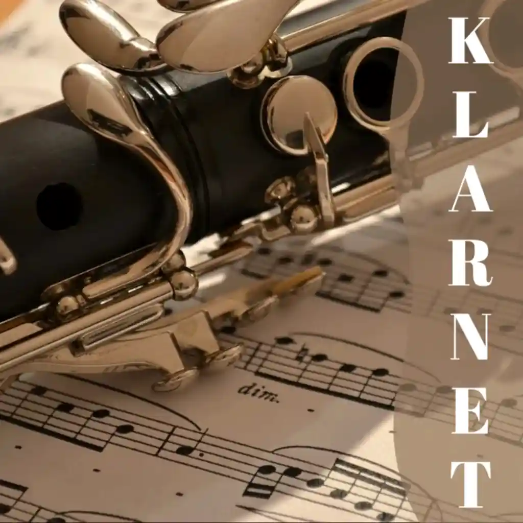 KLARNET (Bb, G) KURSU